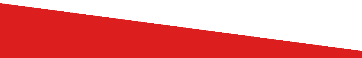 o mundo mágico do circo