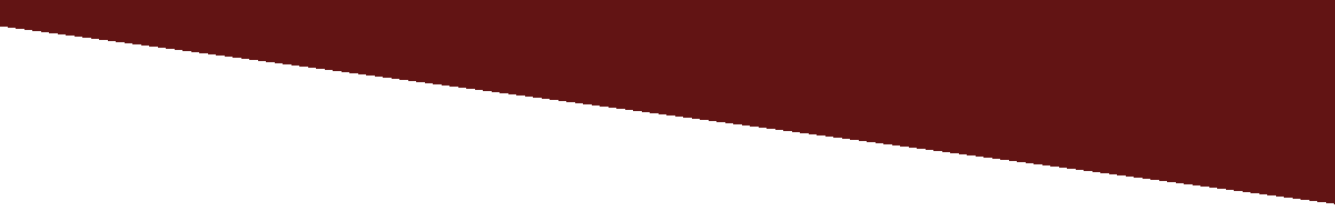 o mundo mágico do circo